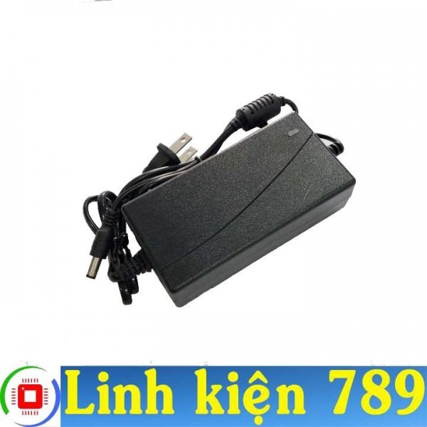 Nguồn Adapter 12V 4A 48W